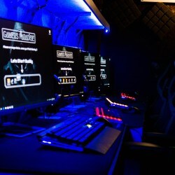 Join a Paradise Private Server Built for Stability and Smooth Play